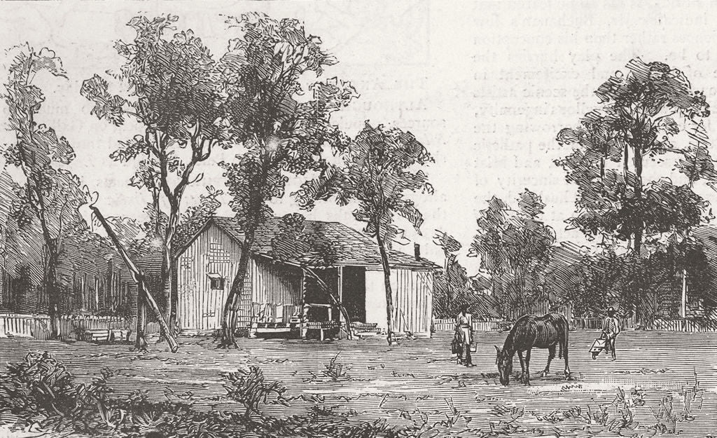 FLORIDA. Private house, Narcoossee 1885 old antique vintage print picture